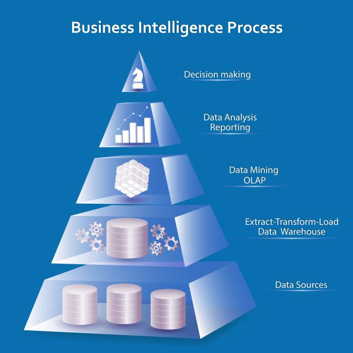 Ibis business intelligence systems