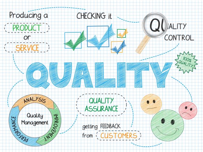 Quality Management System by Ibis Business Intelligence Solutions